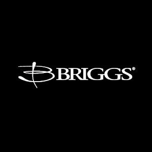 Briggs Toilets and Tubs